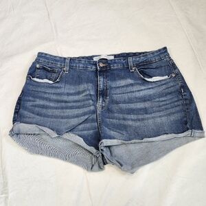 Levis Size 22 High Rise Denim Blue Women's Shorts